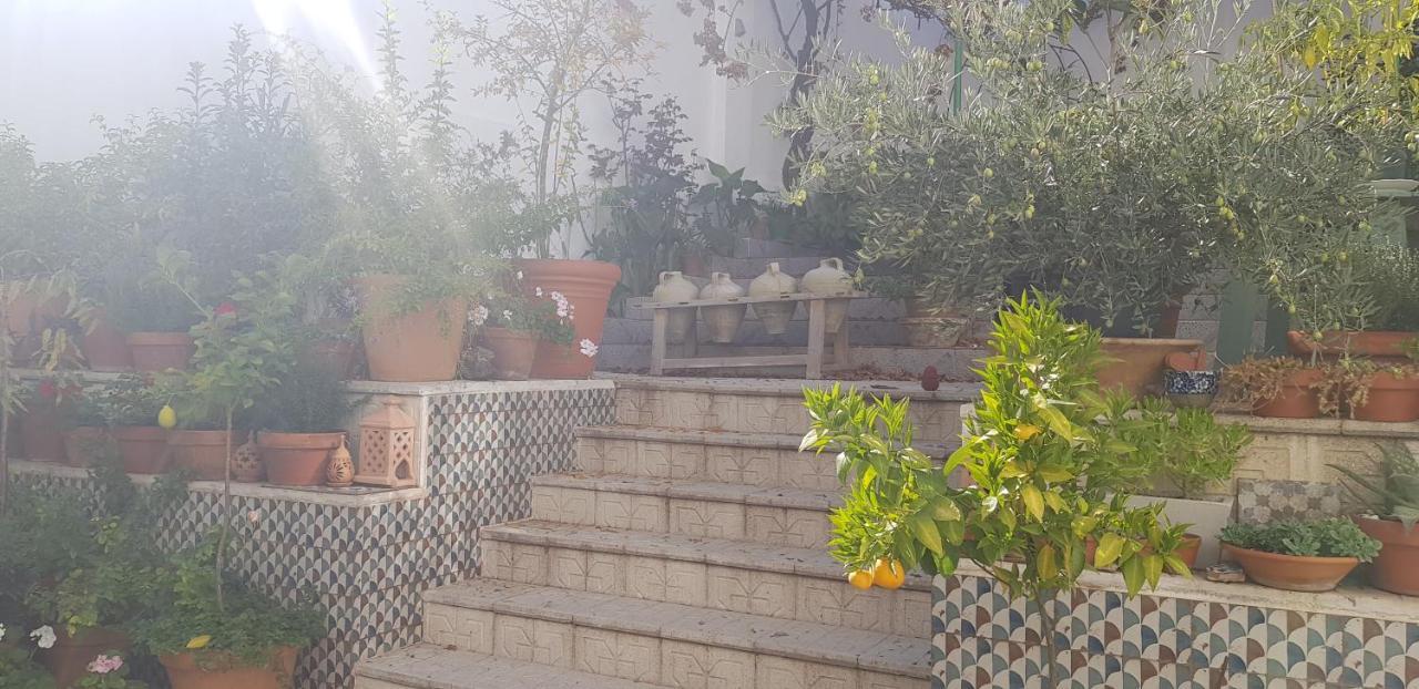 Casa Rural Los Danzantes Fuente-Tojar Esterno foto
